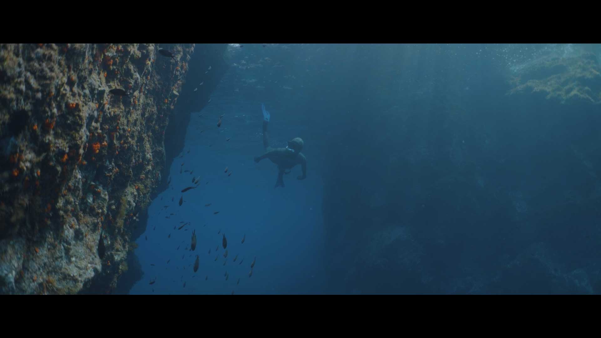 SYMBIOSIS